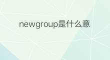 newgroup是什么意思 newgroup的中文翻译、读音、例句