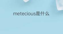 metecious是什么意思 metecious的中文翻译、读音、例句