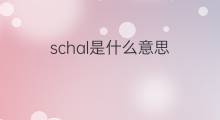 schal是什么意思 schal的翻译、读音、例句、中文解释