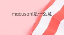 macusani是什么意思 macusani的中文翻译、读音、例句