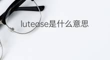 lutease是什么意思 lutease的中文翻译、读音、例句