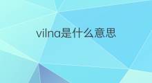 vilna是什么意思 vilna的翻译、读音、例句、中文解释