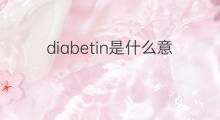diabetin是什么意思 diabetin的翻译、读音、例句、中文解释
