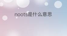 noots是什么意思 noots的翻译、读音、例句、中文解释