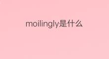 moilingly是什么意思 moilingly的中文翻译、读音、例句