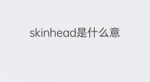 skinhead是什么意思 skinhead的中文翻译、读音、例句