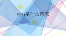 situ是什么意思 situ的中文翻译、读音、例句