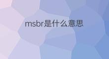 msbr是什么意思 msbr的中文翻译、读音、例句