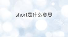 short是什么意思 short的中文翻译、读音、例句