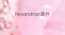 hexandrian是什么意思 hexandrian的中文翻译、读音、例句