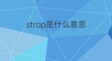 strap是什么意思 strap的中文翻译、读音、例句