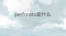 perforata是什么意思 perforata的中文翻译、读音、例句