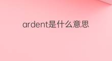 ardent是什么意思 ardent的中文翻译、读音、例句