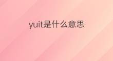 yuit是什么意思 yuit的中文翻译、读音、例句