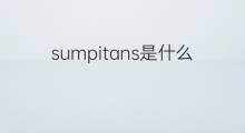 sumpitans是什么意思 sumpitans的中文翻译、读音、例句
