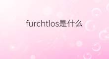 furchtlos是什么意思 furchtlos的中文翻译、读音、例句