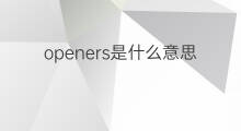 openers是什么意思 openers的中文翻译、读音、例句