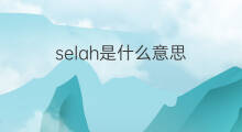 selah是什么意思 selah的中文翻译、读音、例句