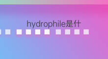 hydrophile是什么意思 hydrophile的中文翻译、读音、例句