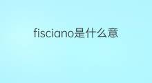 fisciano是什么意思 fisciano的中文翻译、读音、例句