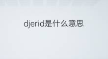 djerid是什么意思 djerid的中文翻译、读音、例句