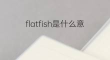 flatfish是什么意思 flatfish的中文翻译、读音、例句