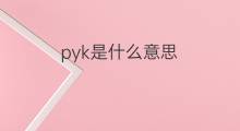 pyk是什么意思 pyk的中文翻译、读音、例句
