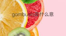 gambusia是什么意思 gambusia的中文翻译、读音、例句