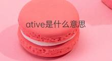 ative是什么意思 ative的中文翻译、读音、例句