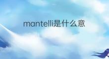 mantelli是什么意思 mantelli的中文翻译、读音、例句