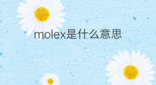 molex是什么意思 molex的中文翻译、读音、例句