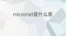 micronet是什么意思 micronet的中文翻译、读音、例句