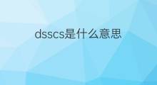 dsscs是什么意思 dsscs的中文翻译、读音、例句