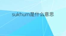 sukhum是什么意思 sukhum的中文翻译、读音、例句
