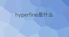 hyperfine是什么意思 hyperfine的中文翻译、读音、例句