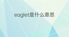eaglet是什么意思 eaglet的中文翻译、读音、例句