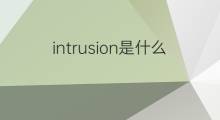 intrusion是什么意思 intrusion的中文翻译、读音、例句
