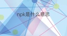 npk是什么意思 npk的中文翻译、读音、例句