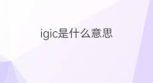 igic是什么意思 igic的中文翻译、读音、例句