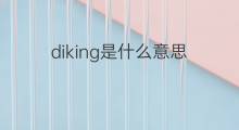 diking是什么意思 diking的中文翻译、读音、例句