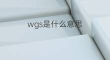 wgs是什么意思 wgs的中文翻译、读音、例句
