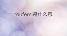 rauferei是什么意思 rauferei的中文翻译、读音、例句