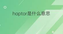 haptor是什么意思 haptor的中文翻译、读音、例句