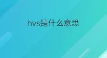 hvs是什么意思 hvs的中文翻译、读音、例句
