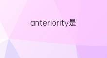 anteriority是什么意思 anteriority的中文翻译、读音、例句