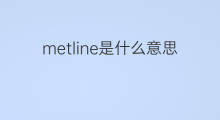metline是什么意思 metline的中文翻译、读音、例句