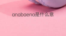 anabaena是什么意思 anabaena的中文翻译、读音、例句