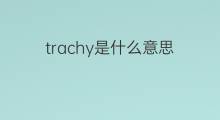 trachy是什么意思 trachy的中文翻译、读音、例句