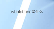 whalebone是什么意思 whalebone的中文翻译、读音、例句