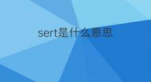 sert是什么意思 sert的中文翻译、读音、例句